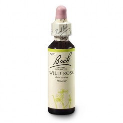 Planá šípková růže (Wild Rose) 20 ml