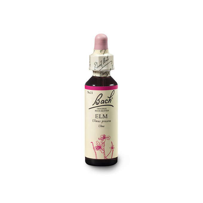 Jilm (Elm) 20 ml