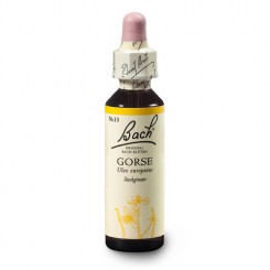 Hlodaš evropský (Gorse) 20 ml