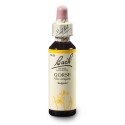 Bach Hlodaš evropský (Gorse) 20 ml