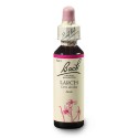 Bach Modřín opadavý (Larch) 20 ml