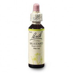 Hořčice polní (Mustard) 20 ml