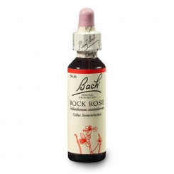 Devaterník penízkovitý (Rock Rose) 20 ml