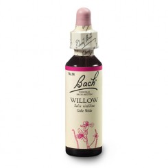 Vrba žlutá (Willow) 20 ml