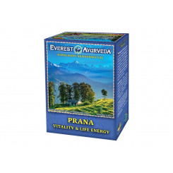 Everest Ayurveda Prana - Vitalita a životní energie 100 g sypaného čaje