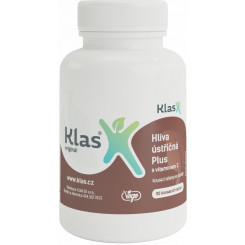 Klas Hlíva ústřičná Plus s vitaminem C 90 tbl.
