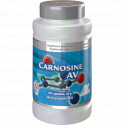 Starlife CARNOSINE 60 kapslí