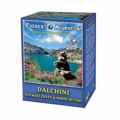 Everest Ayurveda Dalchini - Dýchací cesty a nosní dutiny 100 g sypaného čaje