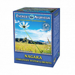 Everest Ayurveda Nagara - Lymfatický systém a imunita 100 g sypaného čaje