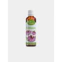 Serafin Echinacea- tinktura z bylin 50ml