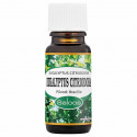 Saloos Eukalyptus Citriodora 10 ml