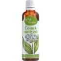 Serafin Česnek medvědí- tinktura z bylin 50 ml