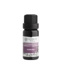 Nobilis Tilia Směs éterických olejů Harmonie 10 ml