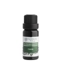 Nobilis Tilia Éterický olej Tymián 10 ml