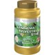 Gymnema Sylvestre Star 60 tbl.