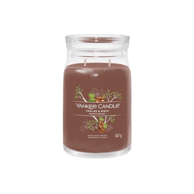 Yankee Candle Signature Praline & Birch 567g