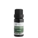 Nobilis Tilia Éterický olej Borovice 10 ml