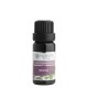 Nobilis Tilia Směs éterických olejů Meditace 10 ml