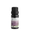 Nobilis Tilia Směs éterických olejů Meditace 10 ml