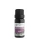 Nobilis Tilia Směs éterických olejů Sauna 10 ml
