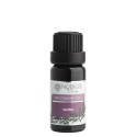Nobilis Tilia Směs éterických olejů Sauna 10 ml