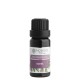 Nobilis Tilia Směs éterických olejů Tantra 10 ml