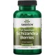 Swanson Schizandra Berries (Klanopraška čínská) 525 mg 90 kapslí