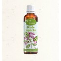 Serafin Rudé lapacho- tinktura z bylin 50 ml