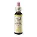 Bach Kaštan bílý (White Chestnut) 20 ml