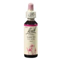 Bach Modřín opadavý (Larch) 20 ml