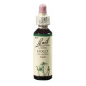 Bach Cesmína ostrolistá (Holly) 20 ml