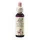Netýkavka žlaznatá (Impatiens) 20 ml