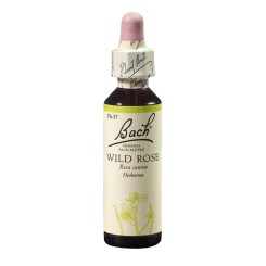 Planá šípková růže (Wild Rose) 20 ml