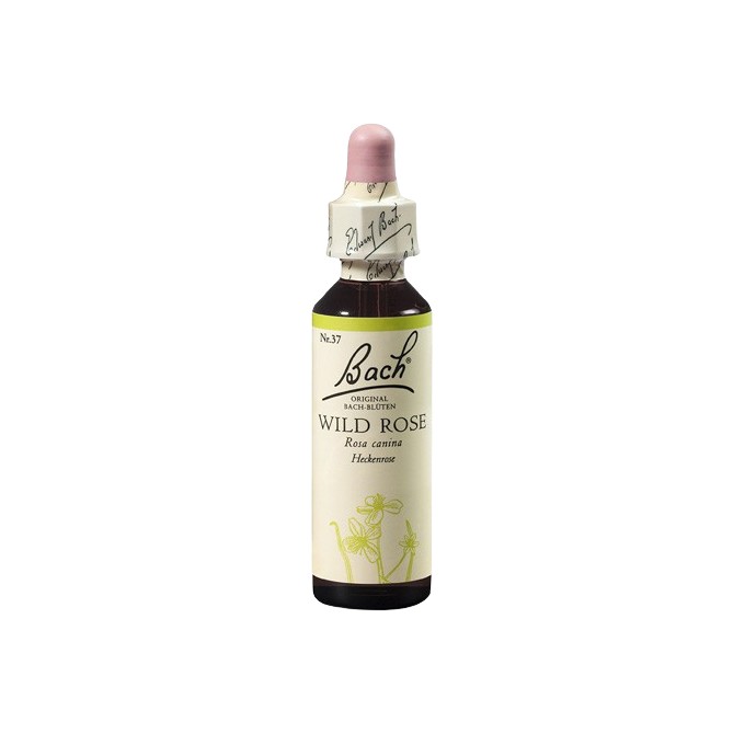 Planá šípková růže (Wild Rose) 20 ml