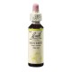 Hořčice polní (Mustard) 20 ml
