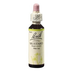 Hořčice polní (Mustard) 20 ml