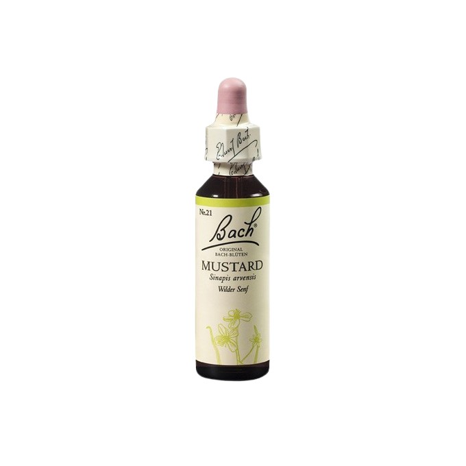 Hořčice polní (Mustard) 20 ml