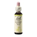 Bach Hořčice polní (Mustard) 20 ml