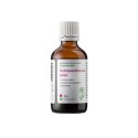 Dědek Kořenář Ostropestřecová směs 50 ml JK+