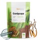 MycoMedica BIO Cordyceps prášek 100 g