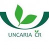 Uncaria